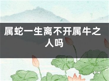 属蛇一生离不开属牛之人吗