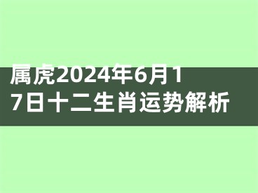 属虎2024年6月17日十二生肖运势解析