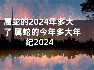 属蛇的2024年多大了 属蛇的今年多大年纪2024