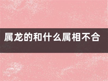 属龙的和什么属相不合