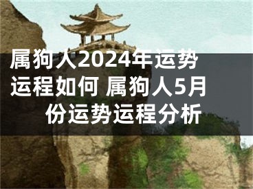 属狗人2024年运势运程如何 属狗人5月份运势运程分析