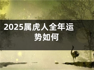 2025属虎人全年运势如何