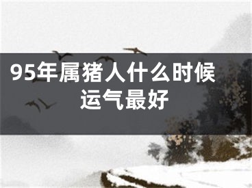 95年属猪人什么时候运气最好