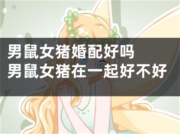 男鼠女猪婚配好吗  男鼠女猪在一起好不好