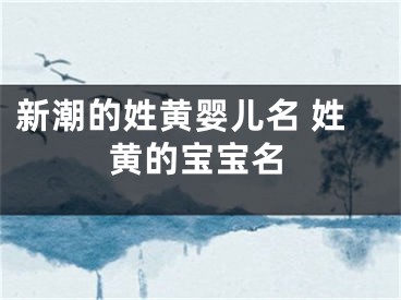 新潮的姓黄婴儿名 姓黄的宝宝名