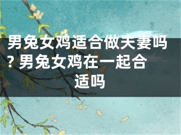 男兔女鸡适合做夫妻吗? 男兔女鸡在一起合适吗
