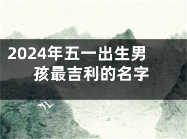 2024年五一出生男孩最吉利的名字