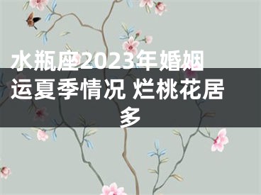 水瓶座2023年婚姻运夏季情况 烂桃花居多