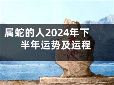 属蛇的人2024年下半年运势及运程