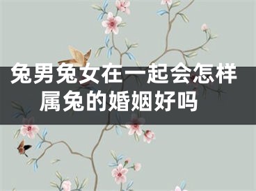 兔男兔女在一起会怎样 属兔的婚姻好吗