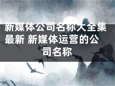 新媒体公司名称大全集最新 新媒体运营的公司名称