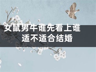 女鼠男牛谁先看上谁 适不适合结婚