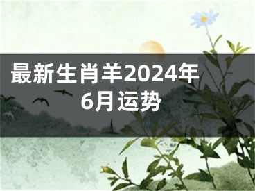 最新生肖羊2024年6月运势