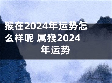 猴在2024年运势怎么样呢 属猴2024年运势