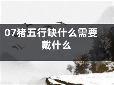 07猪五行缺什么需要戴什么