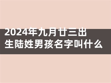 2024年九月廿三出生陆姓男孩名字叫什么