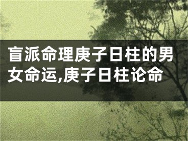 盲派命理庚子日柱的男女命运,庚子日柱论命