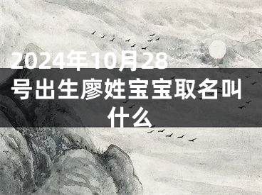 2024年10月28号出生廖姓宝宝取名叫什么
