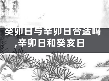 癸卯日与辛卯日合适吗,辛卯日和癸亥日
