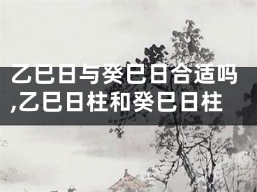 乙巳日与癸巳日合适吗,乙巳日柱和癸巳日柱