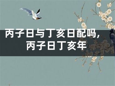 丙子日与丁亥日配吗,丙子日丁亥年
