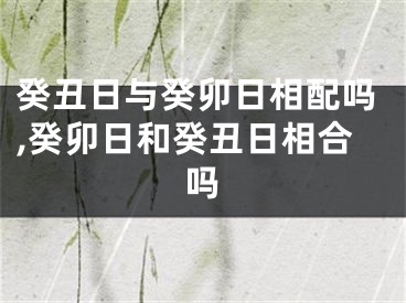 癸丑日与癸卯日相配吗,癸卯日和癸丑日相合吗