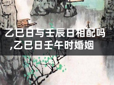 乙巳日与壬辰日相配吗,乙巳日壬午时婚姻