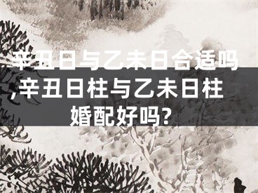辛丑日与乙未日合适吗,辛丑日柱与乙未日柱婚配好吗?