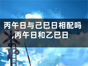 丙午日与己巳日相配吗,丙午日和乙巳日