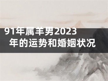 91年属羊男2023年的运势和婚姻状况