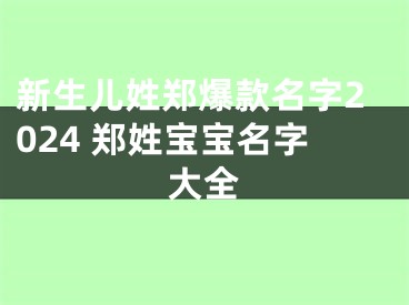 新生儿姓郑爆款名字2024 郑姓宝宝名字大全
