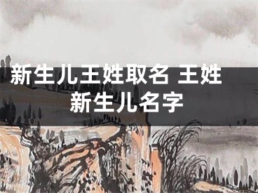 新生儿王姓取名 王姓新生儿名字