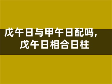戊午日与甲午日配吗,戊午日相合日柱