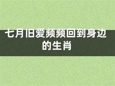 七月旧爱频频回到身边的生肖