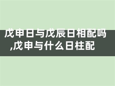 戊申日与戊辰日相配吗,戊申与什么日柱配