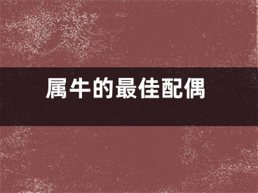 属牛的最佳配偶