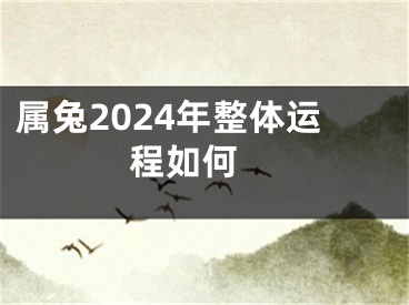 属兔2024年整体运程如何 