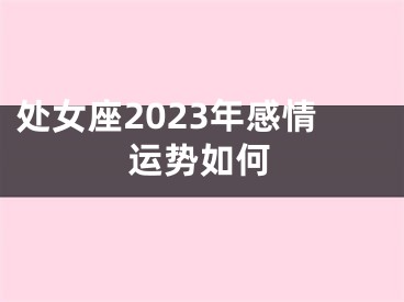 处女座2023年感情运势如何