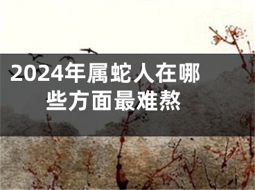 2024年属蛇人在哪些方面最难熬 