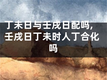 丁未日与壬戌日配吗,壬戌日丁未时人丁合化吗