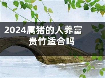 2024属猪的人养富贵竹适合吗