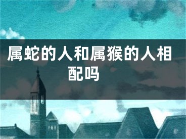 属蛇的人和属猴的人相配吗 