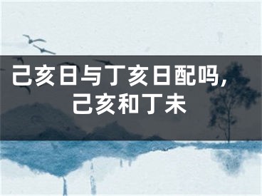己亥日与丁亥日配吗,己亥和丁未