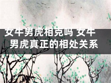 女牛男虎相克吗 女牛男虎真正的相处关系