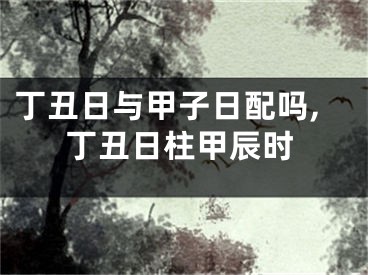 丁丑日与甲子日配吗,丁丑日柱甲辰时