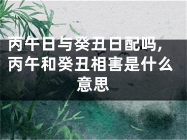 丙午日与癸丑日配吗,丙午和癸丑相害是什么意思