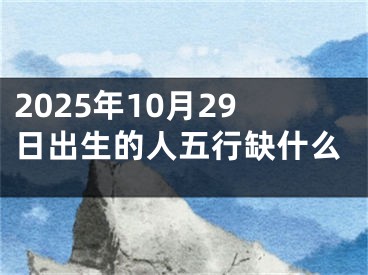 2025年10月29日出生的人五行缺什么
