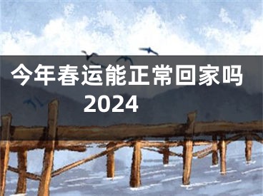 今年春运能正常回家吗2024