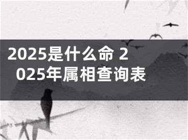 2025是什么命 2025年属相查询表