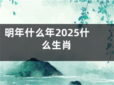 明年什么年2025什么生肖